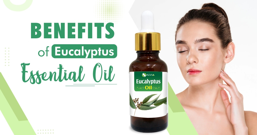 euclyptus oil benefits euclyptus oil benefits
